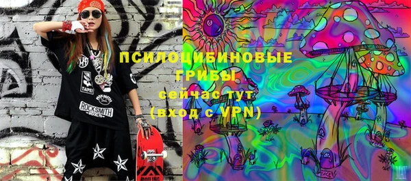 бошки Няндома