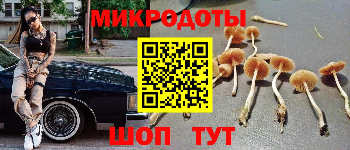 Галлюциногенные грибы Cubensis  Галлюциногенные грибы MAGIC MUSHROOMS  Северск  Вход с VPN 